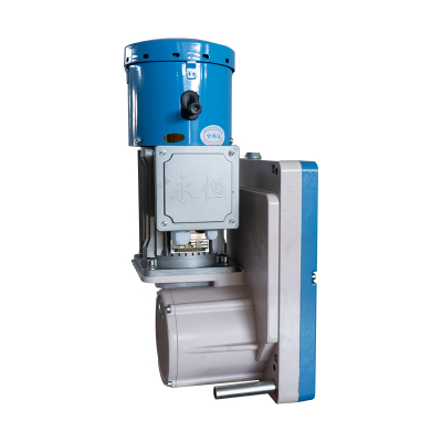 Suspended Scaffolding Hoists