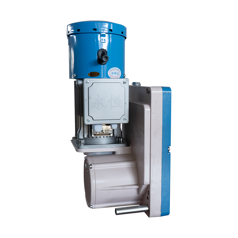 Electric Traction Hoist Motor